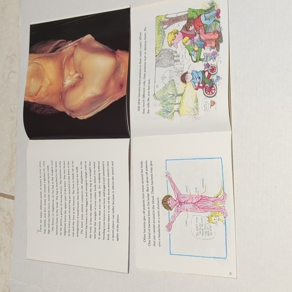 Scholastic Misc. Authors Set of 6 Bones & Body Theme NonFiction Paperback Books - Picture 8 of 10